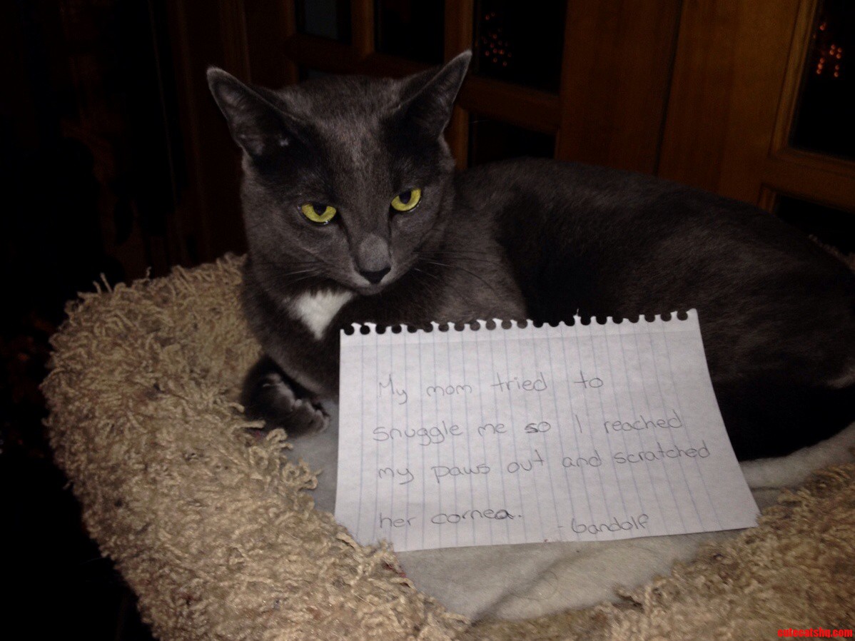 He Deserves the Public Shaming for This One.