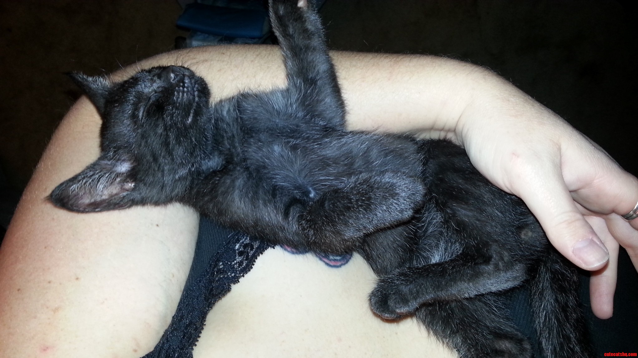 He Does This Every Time I Pick Him Up. Gotta Love the Little Rascal.