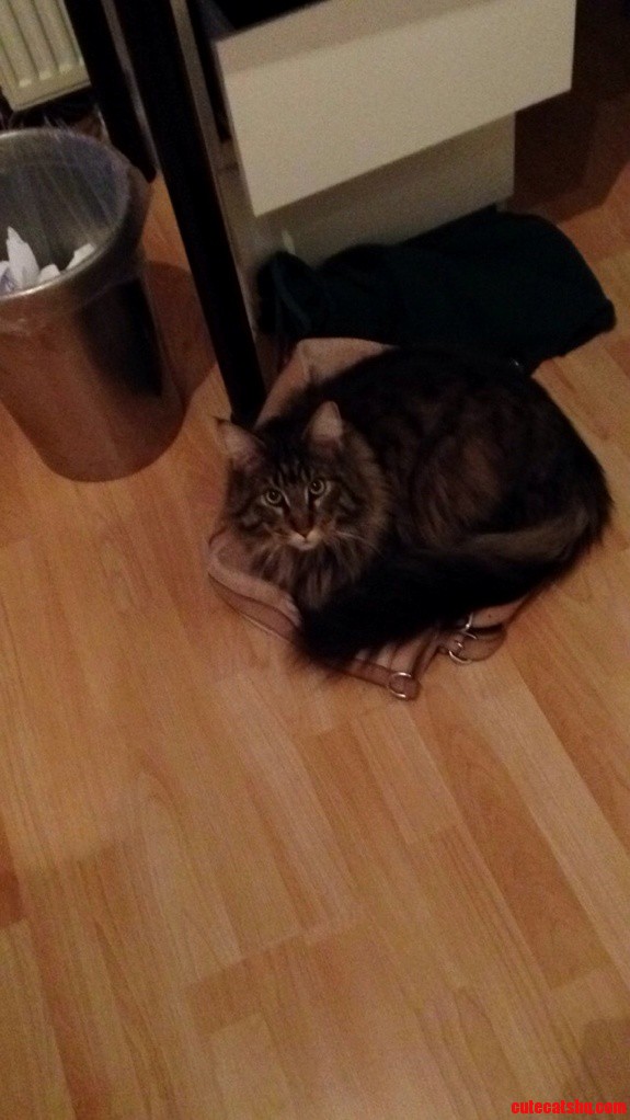 He Doesnt Like His Expensive Beds We Have Bought.
