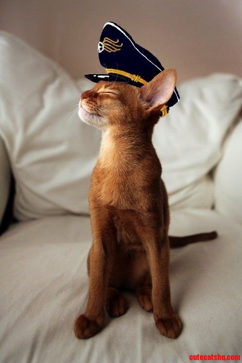 He Finally Got a Boat.