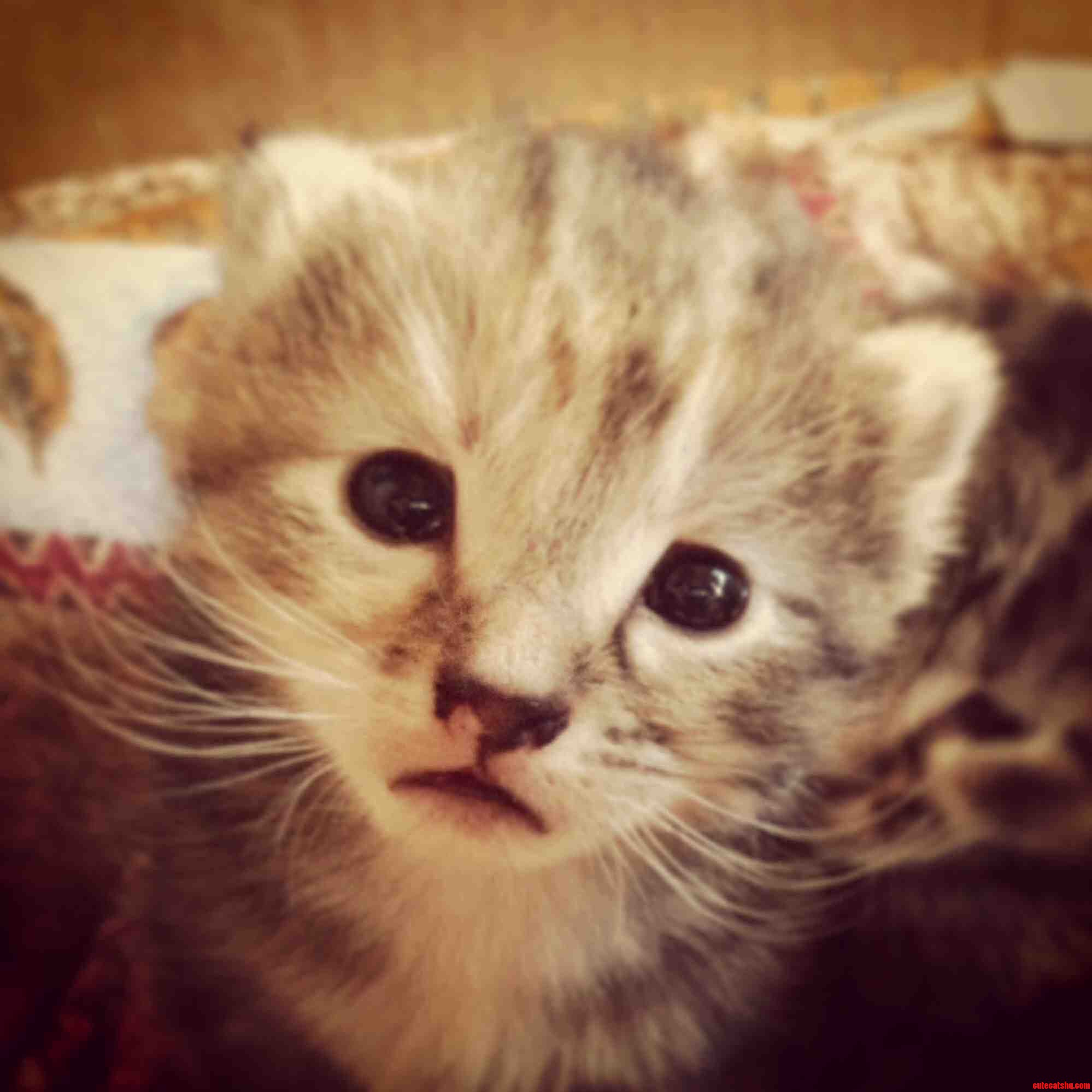He Has a Lot of Questions About Life.