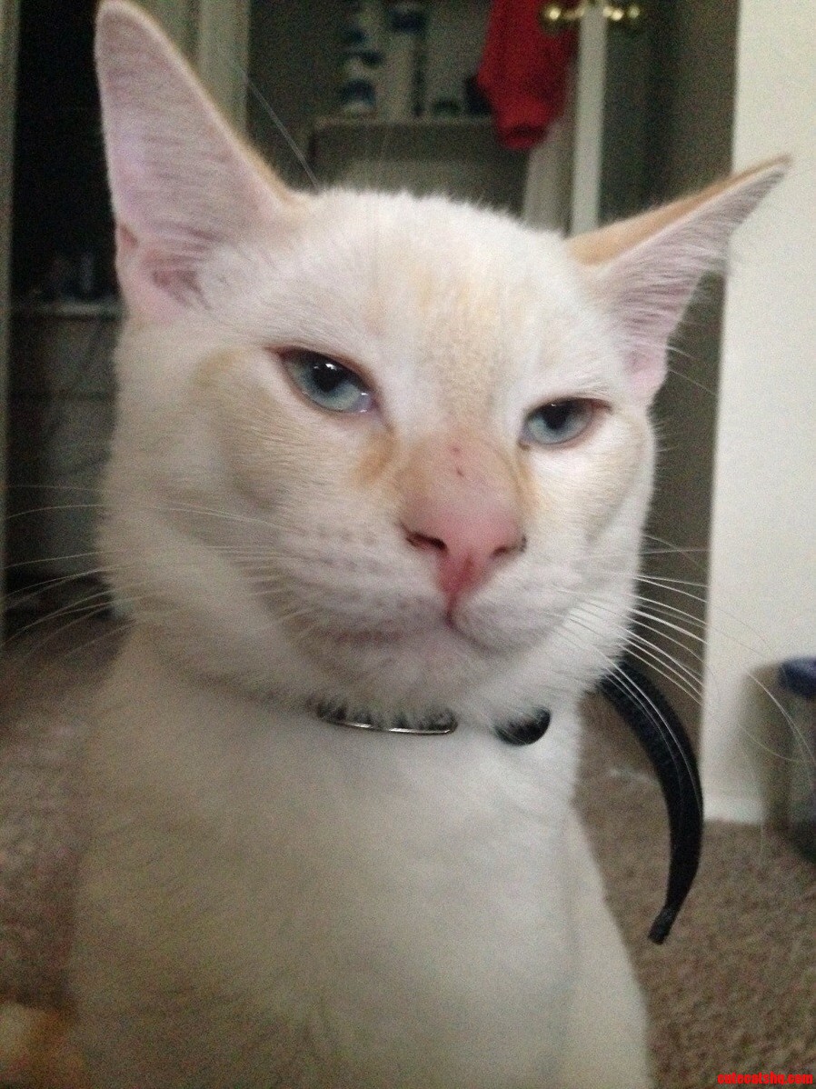 He Just Woke Up