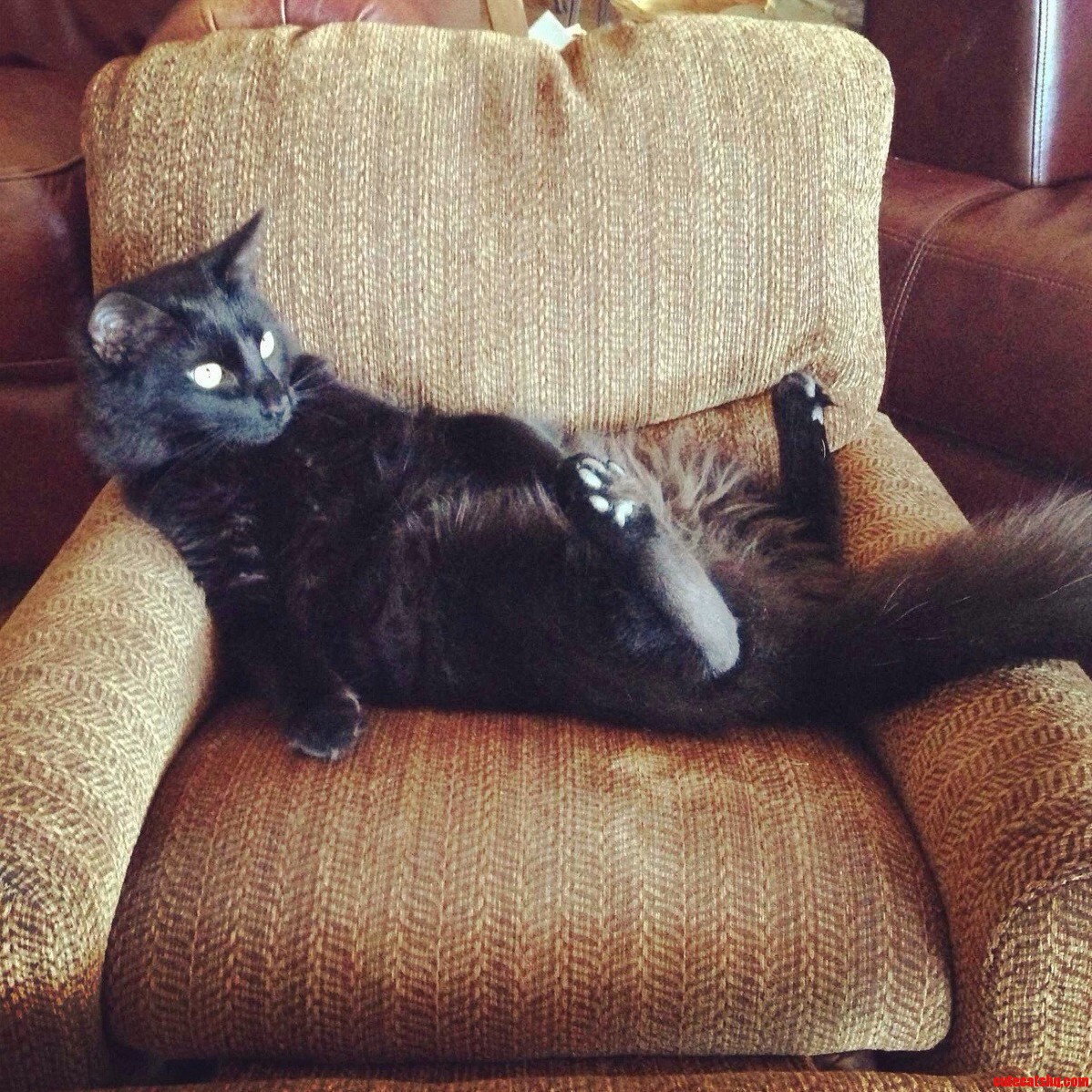 He Lives an Incredibly Difficult Life ....