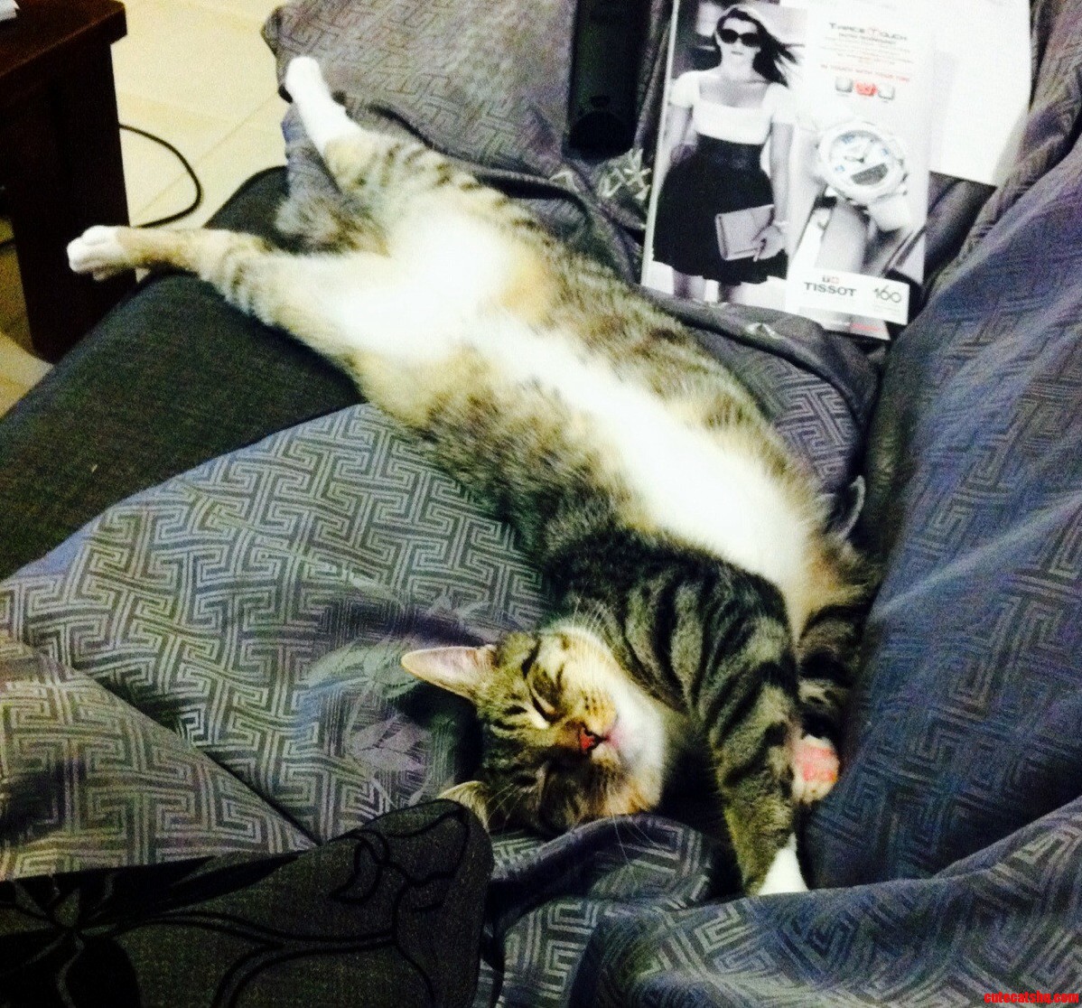 He Loves a Good Stretch