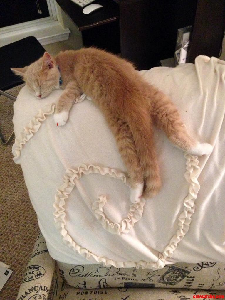He Never Makes It to the Top Before He Falls Asleep.