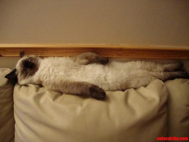 He Sleeps in Some Strange Positions...