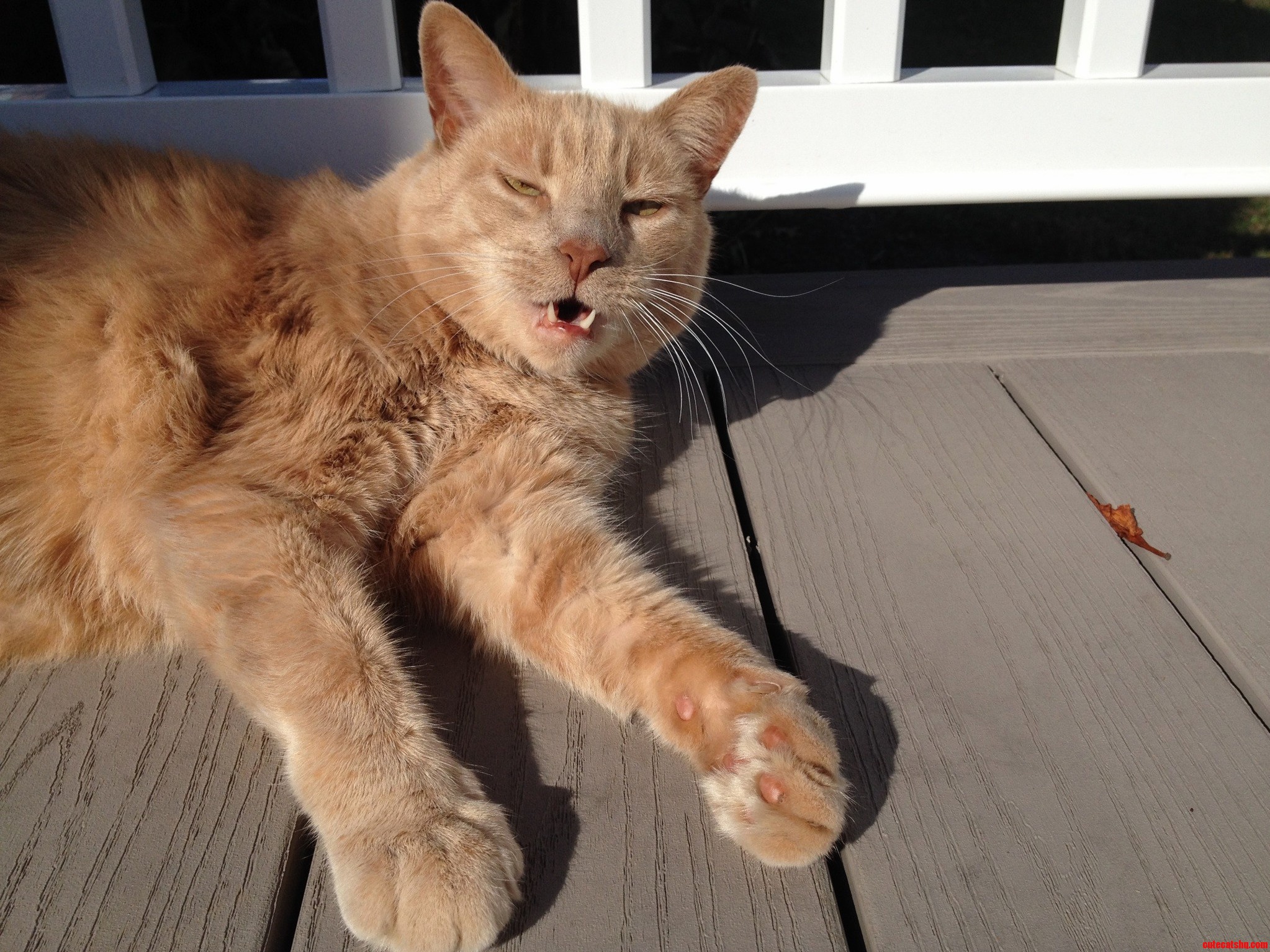He Thinks Hes a Vampire