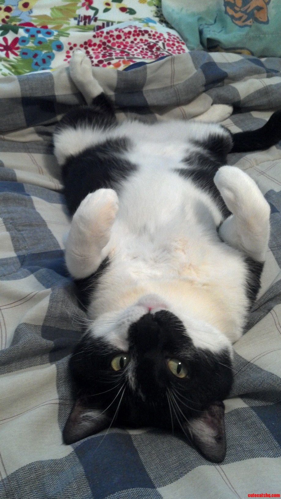 He Thinks Hes So Cute. Yeah... Hes Right.