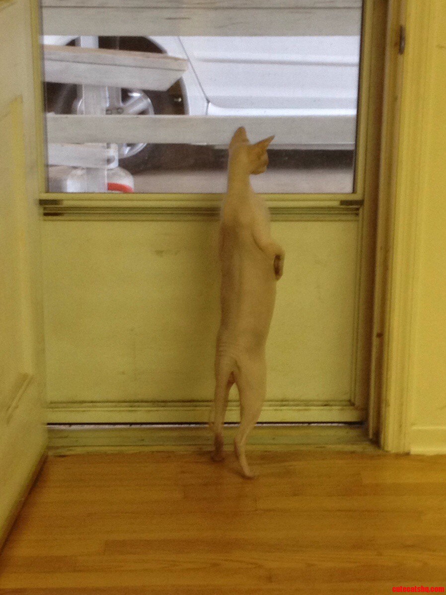 He Wants Out So Bad