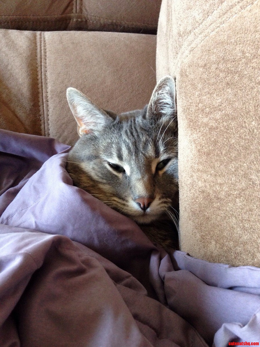 He Was Cold and Decided to Cover Up