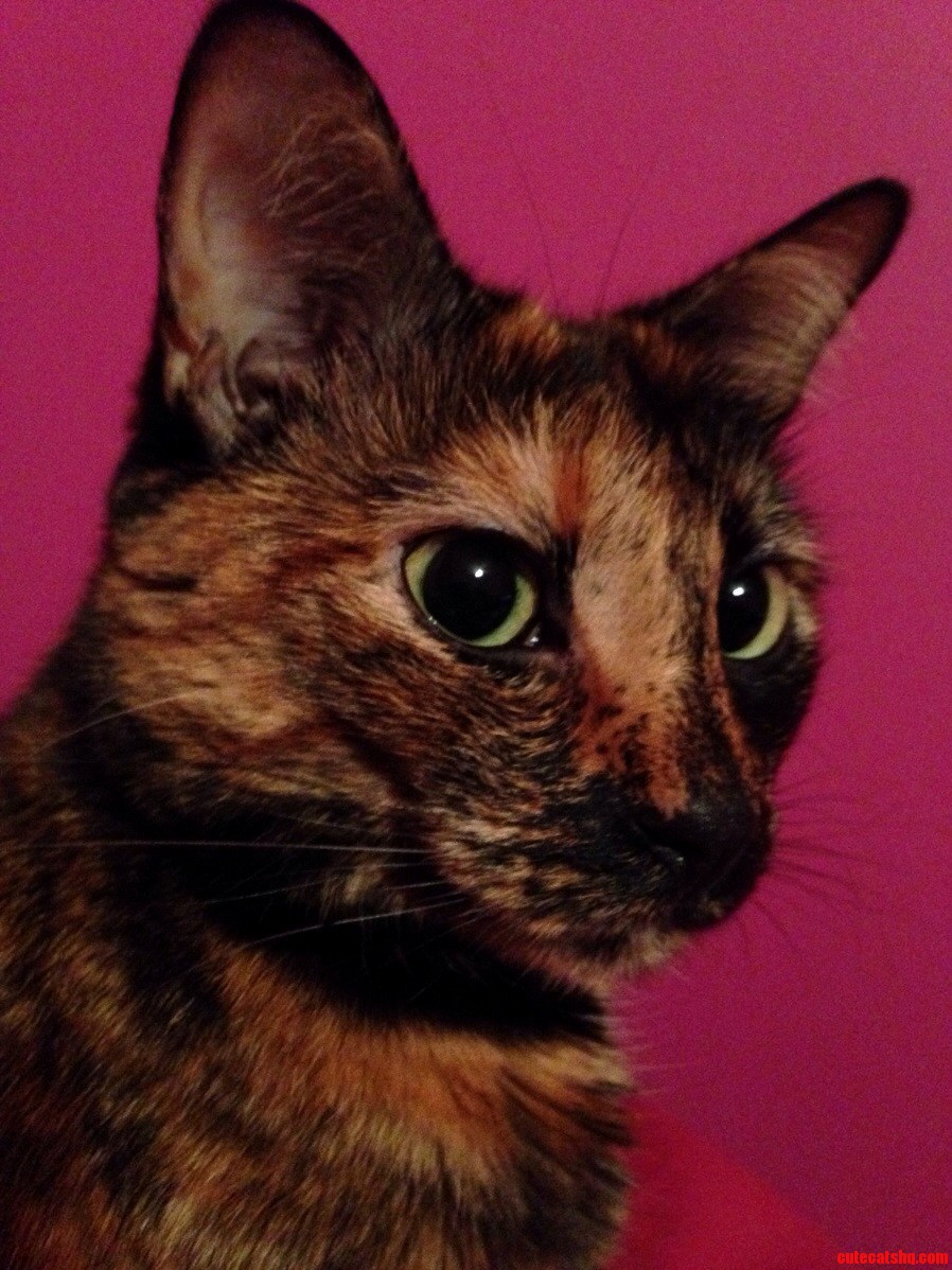 Head Shot