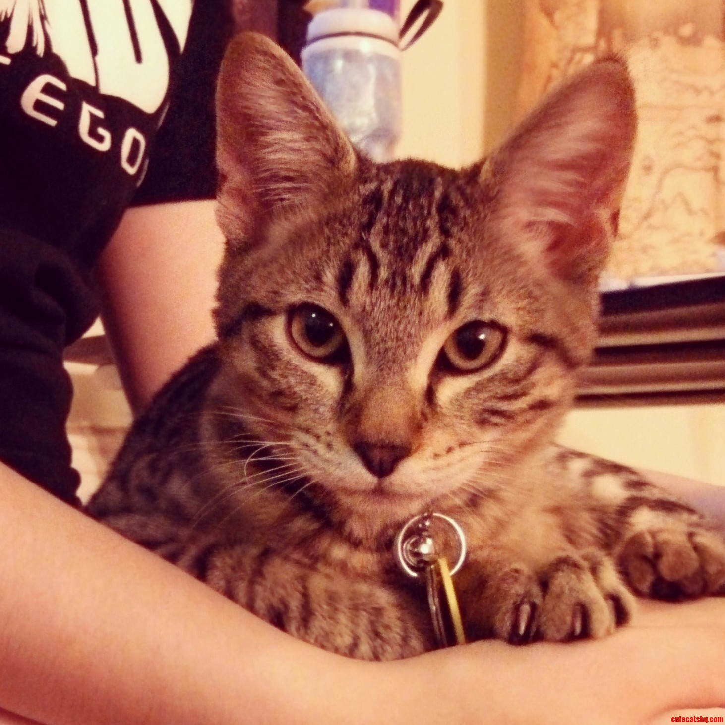 Hello Im Jasper