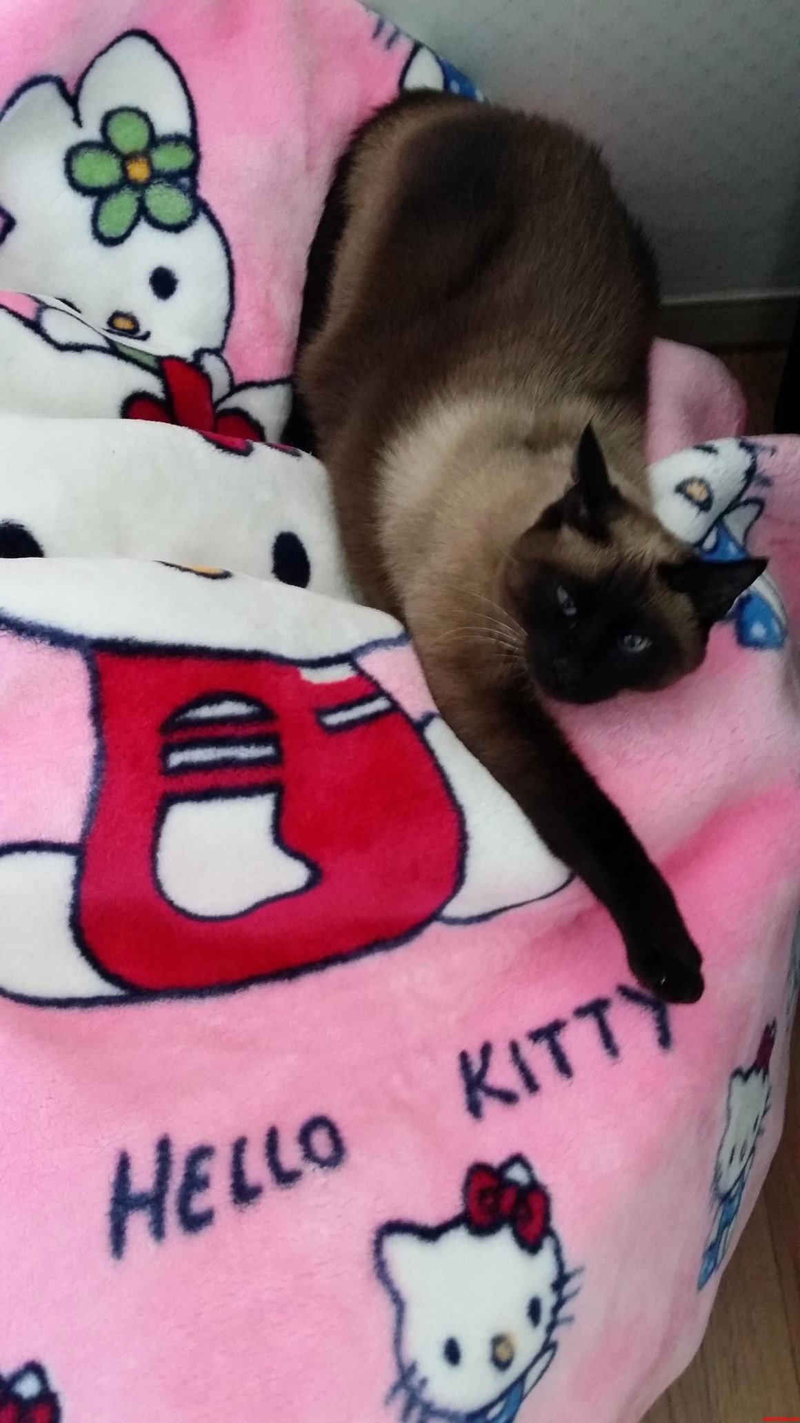 Hello Kitty