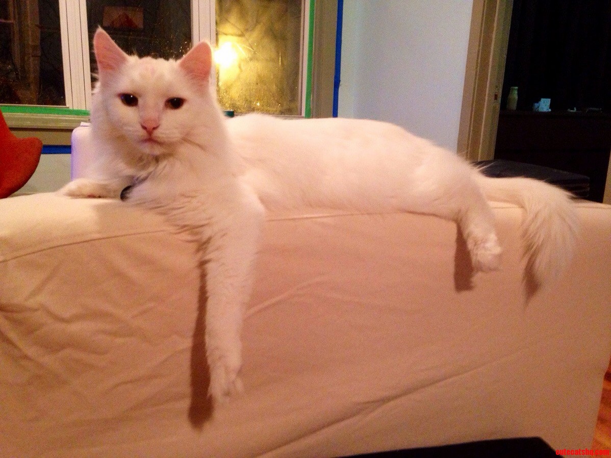 Hello Ladies...