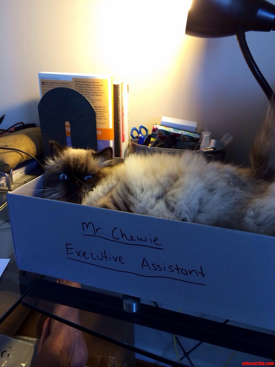 Helping Build Our Startup