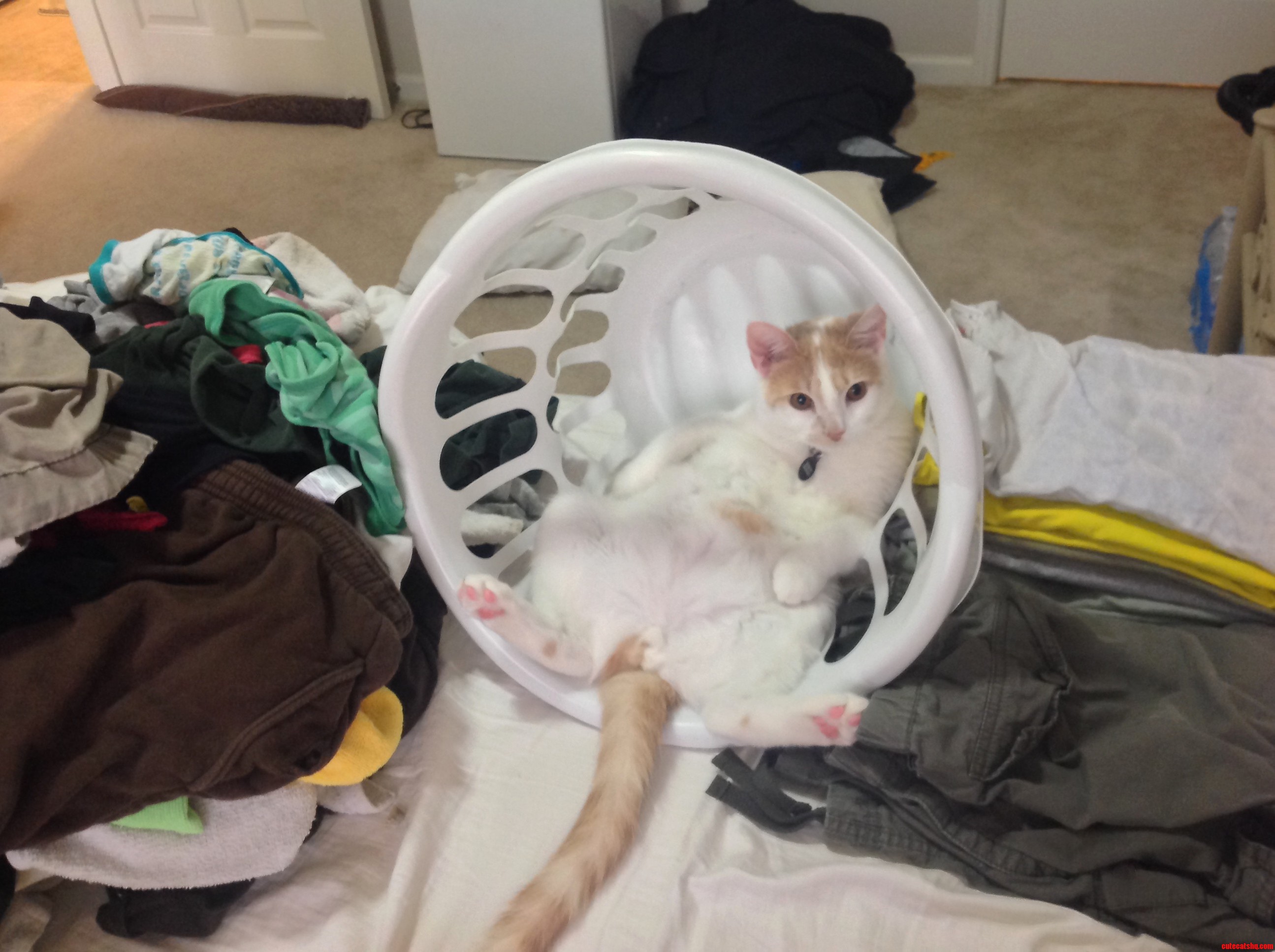 Helping with the Laundry.