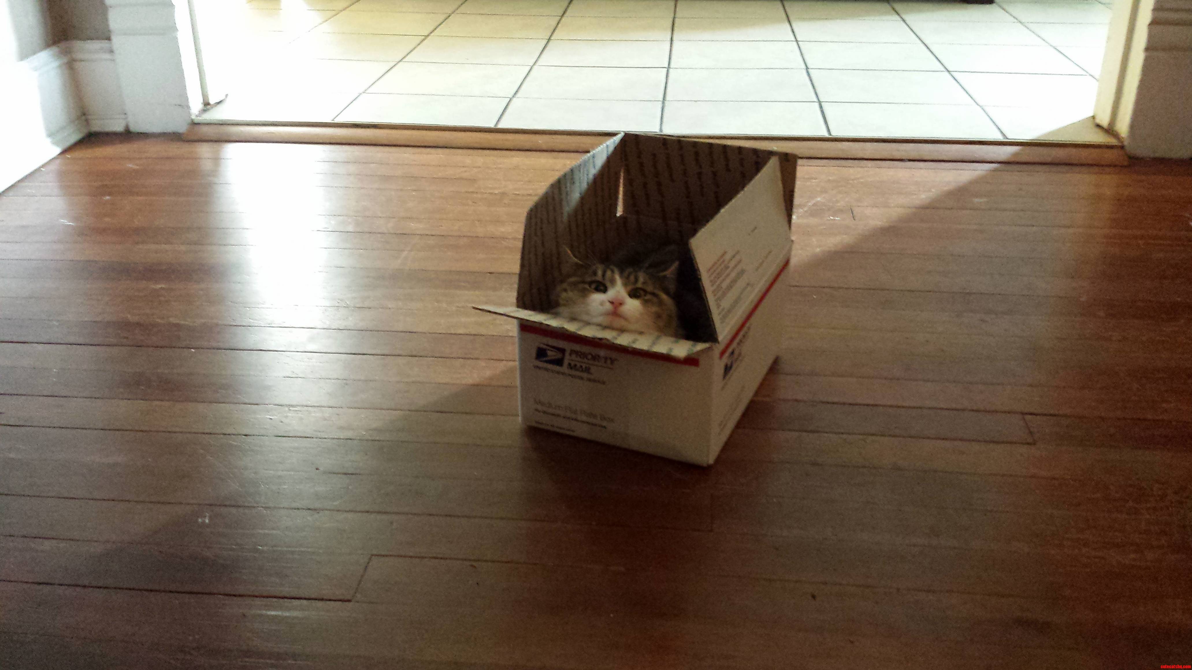 Her Box.
