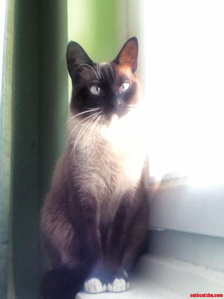Her Eyes Might Not Be Perfect but She Is Mine 3