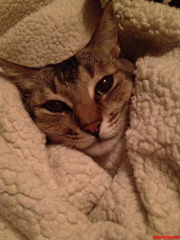 Her Face Is So Innocent