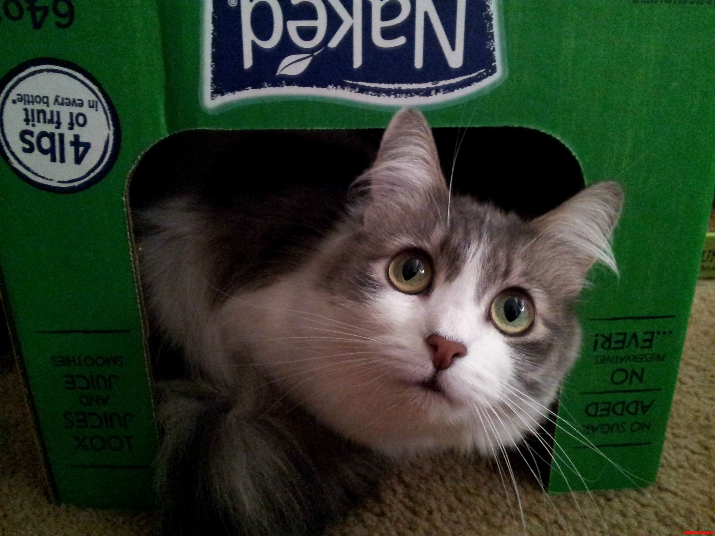 Her Favorite Spot
