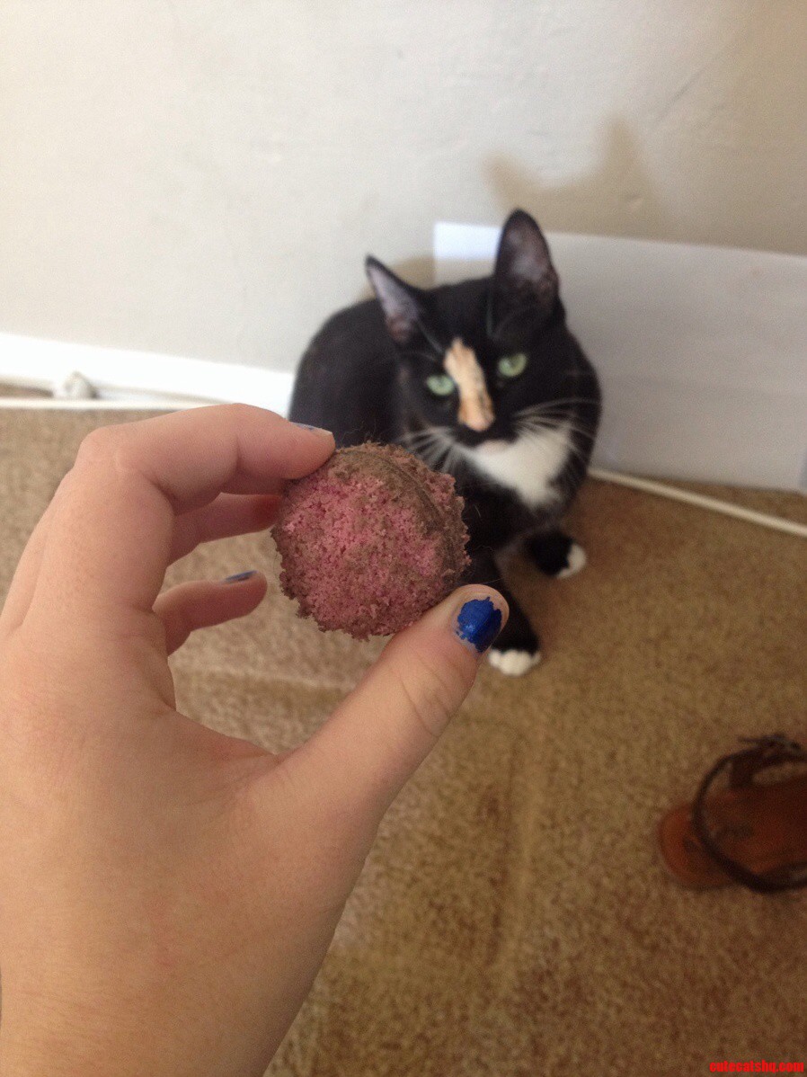 Her Favorite Toy from the Shelter. Its Been a Year and She Still Hasnt Lost It