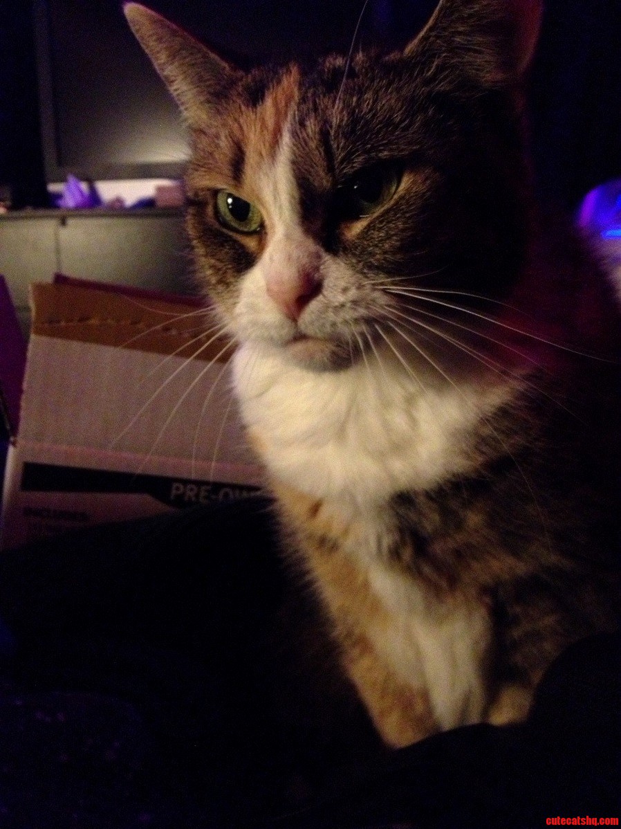 Her Majesty.