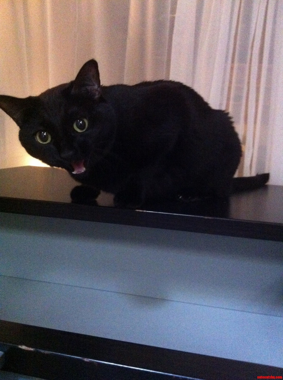 Her Toy Fell Off the Top of the Dresser