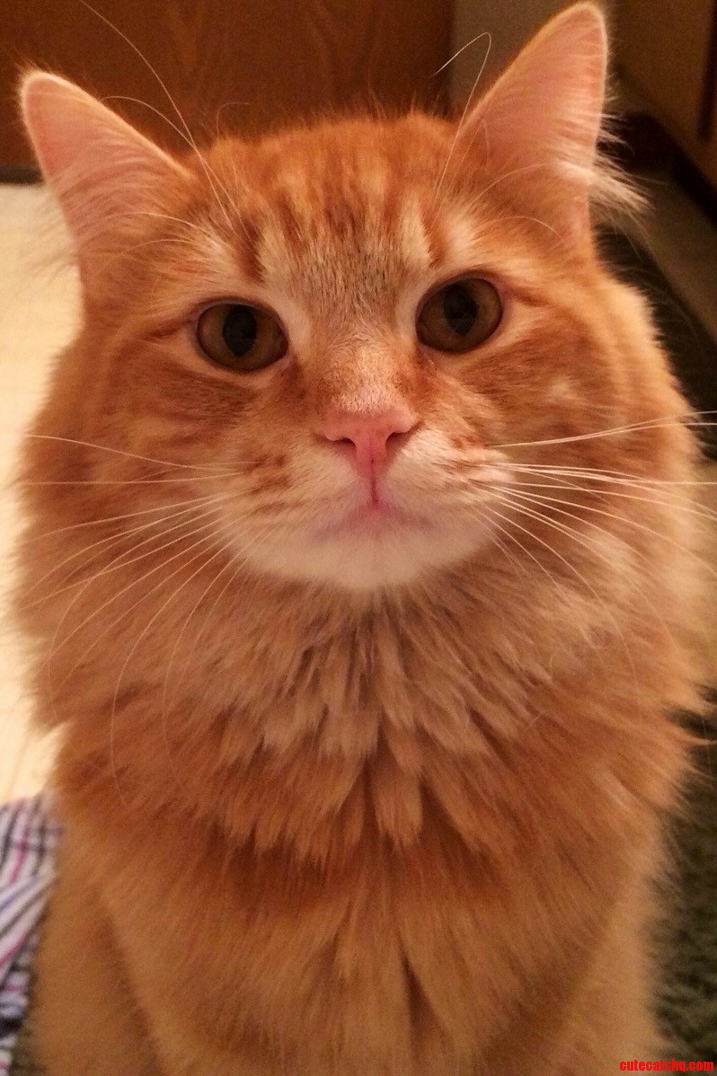 Hes My Little Handsome Lion.