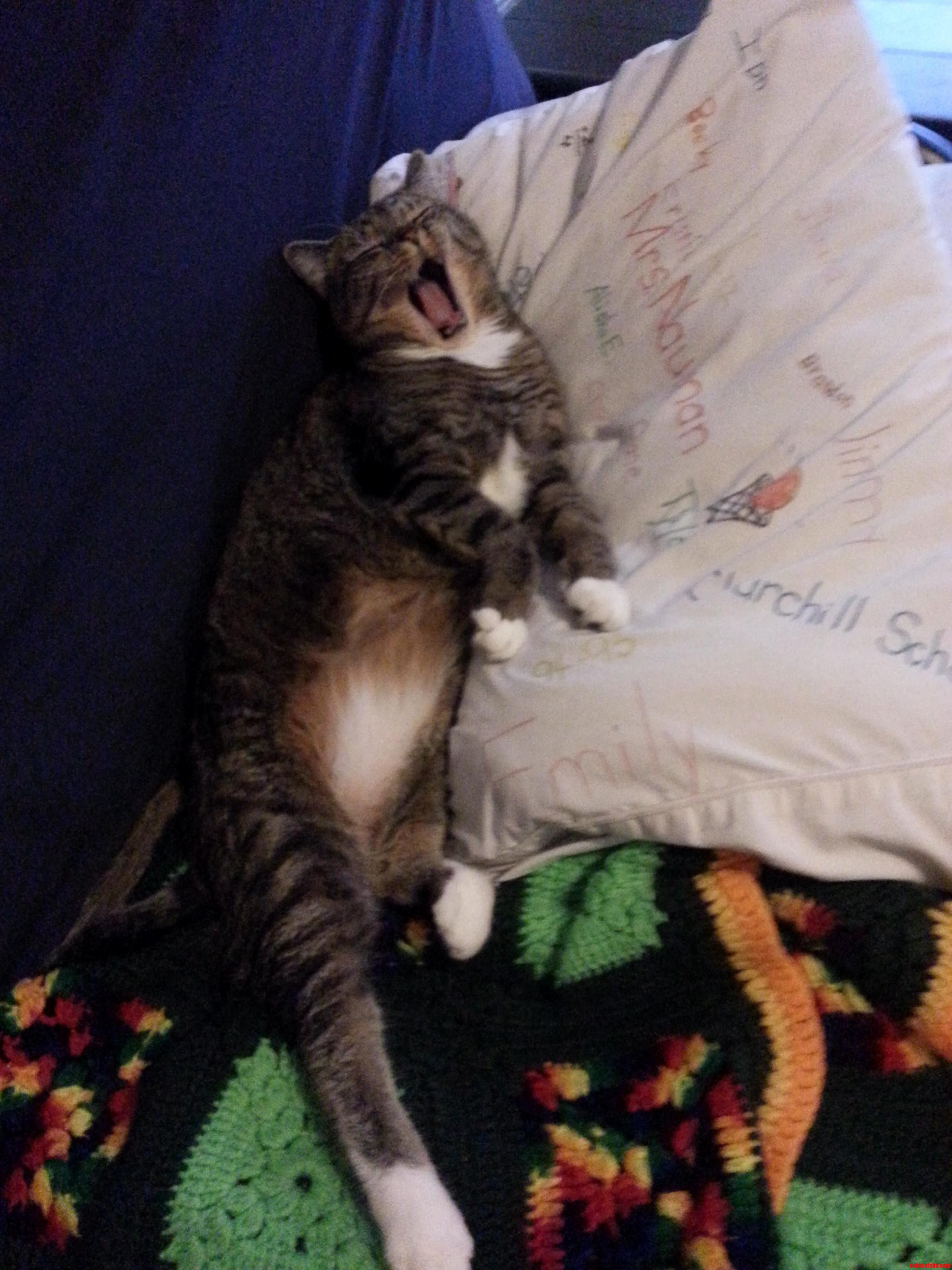 Hes Sleepy