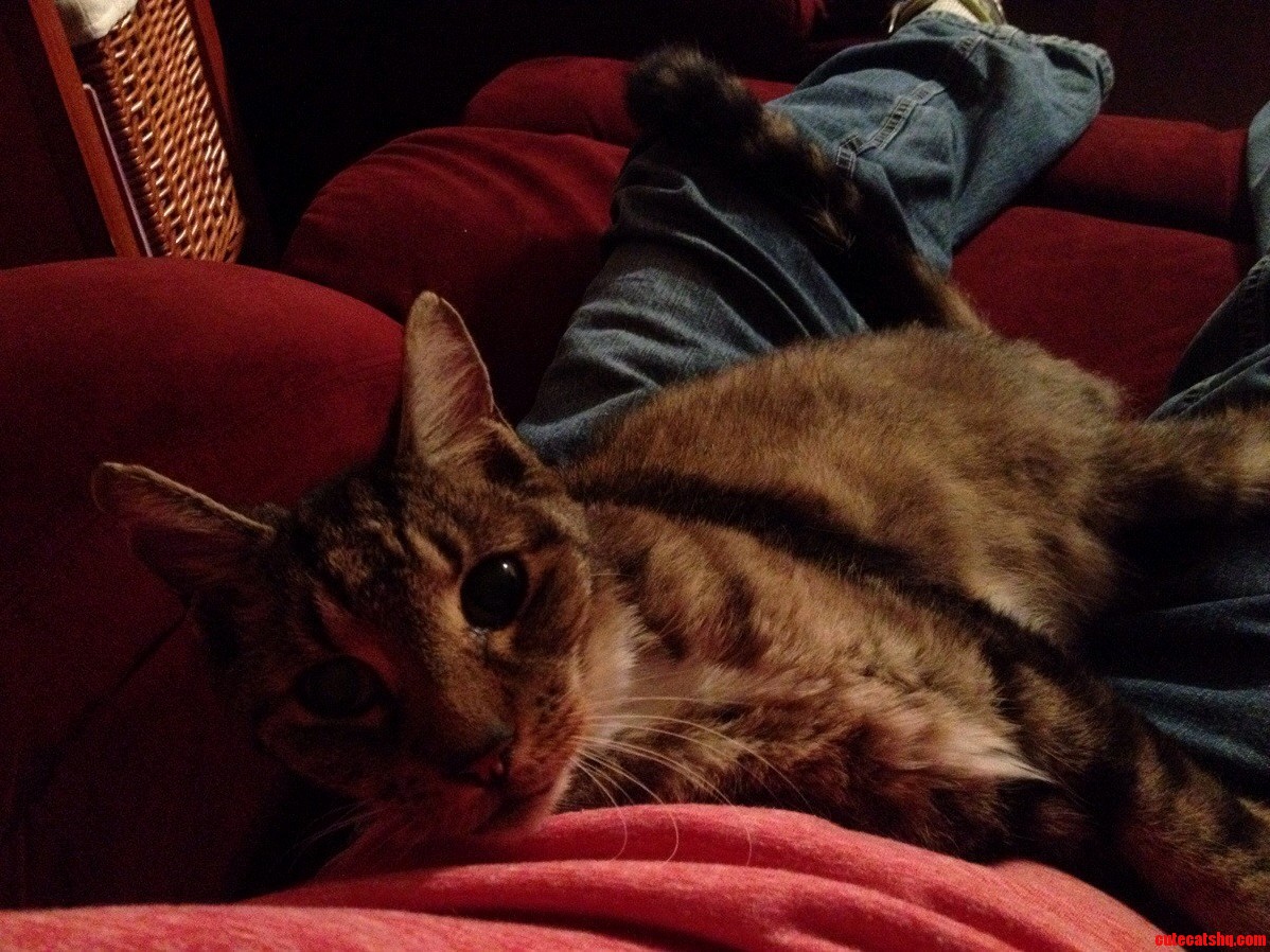 Hes Watching Me Watch Tv.
