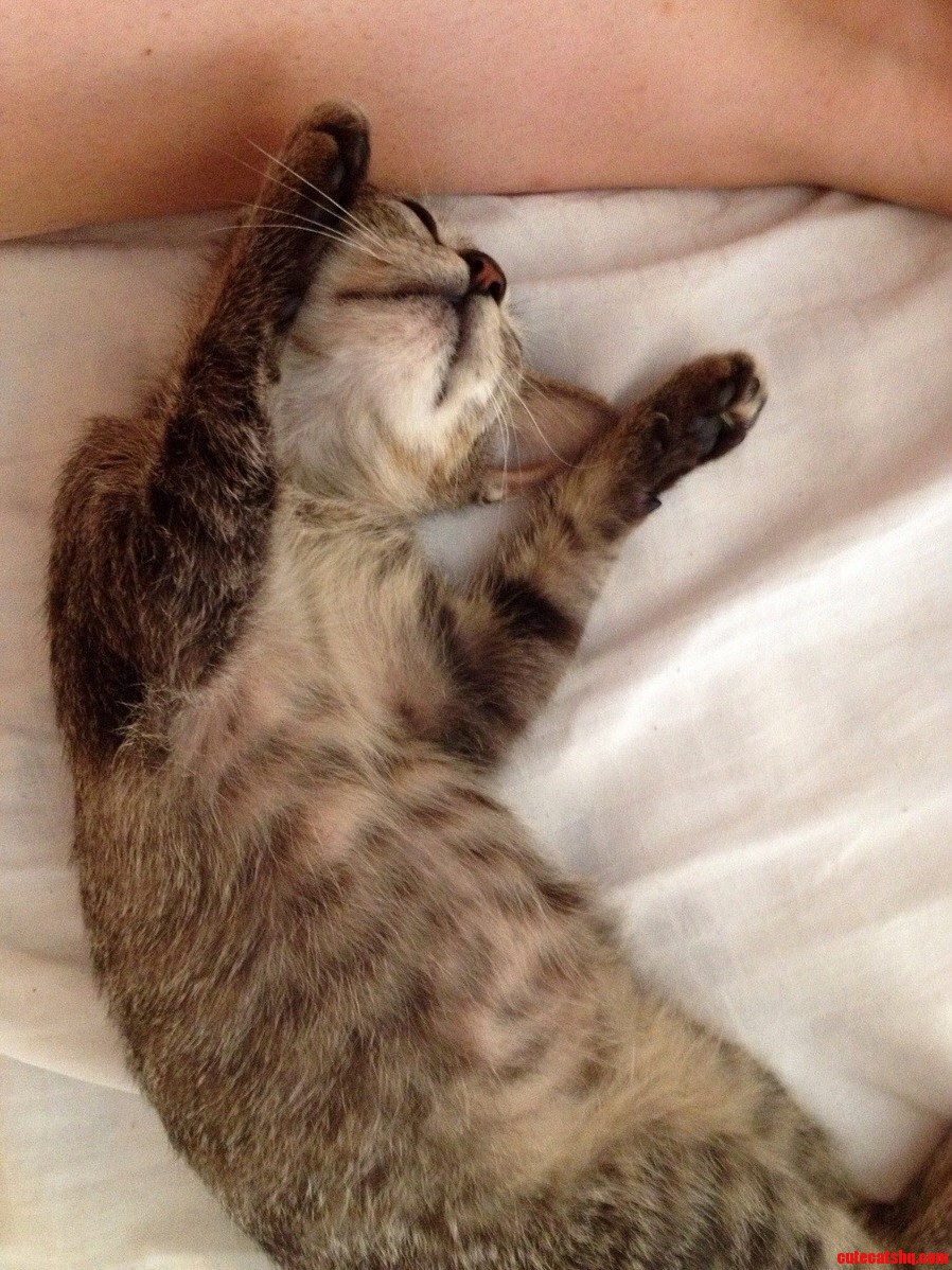 Hey Meet Kwame Nkrumeow