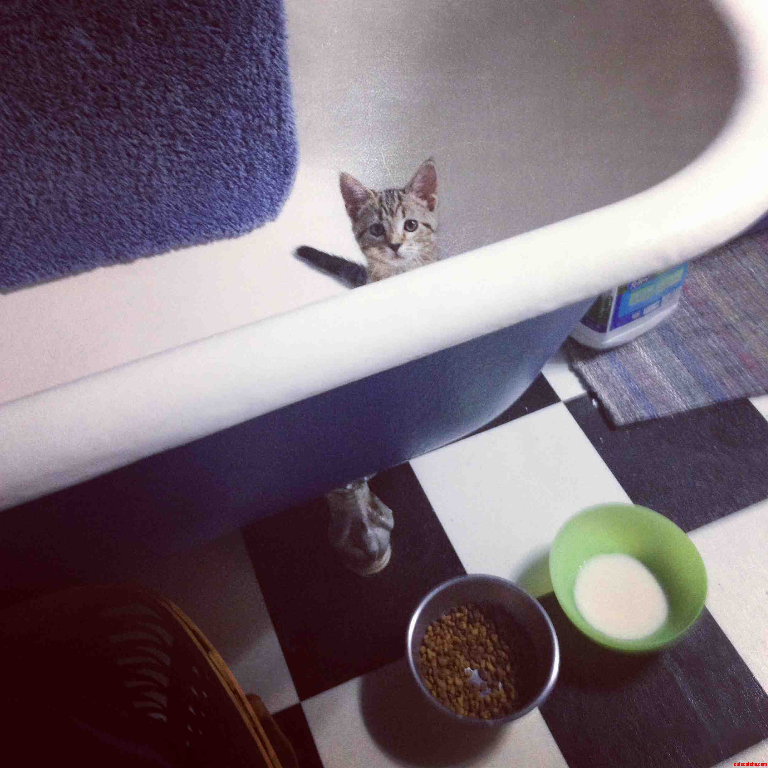 Hi Just Checking Out the Tub