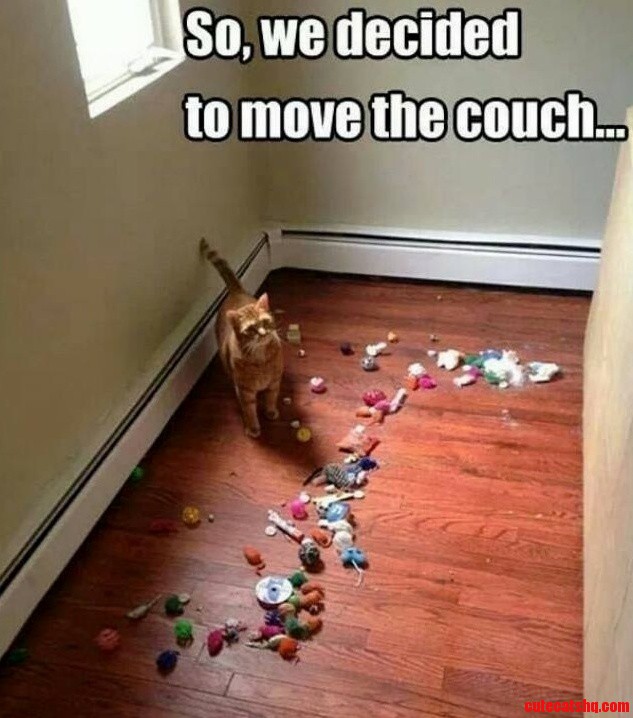 Hidden Toys