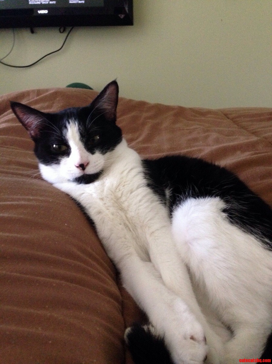 His Face Right Before He Fell Asleep