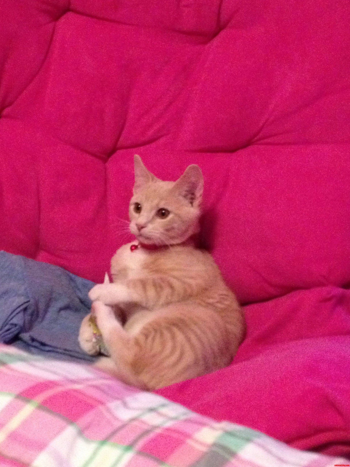 Hold on Mom This Movie Is Getting So Intense