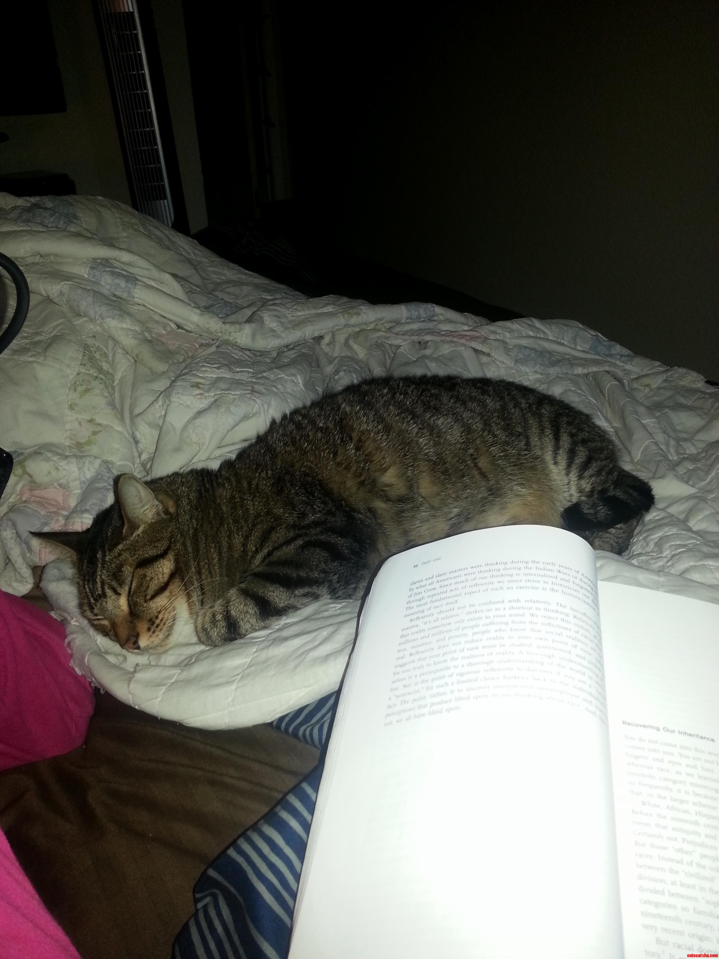 How Can I Get Anything Done with This Cuteness Next to Me