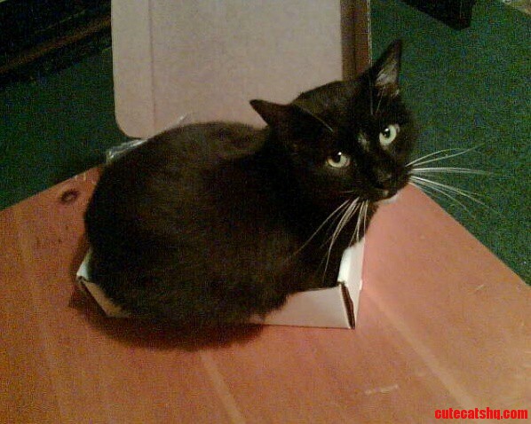 How Does It Go If It Fits ...