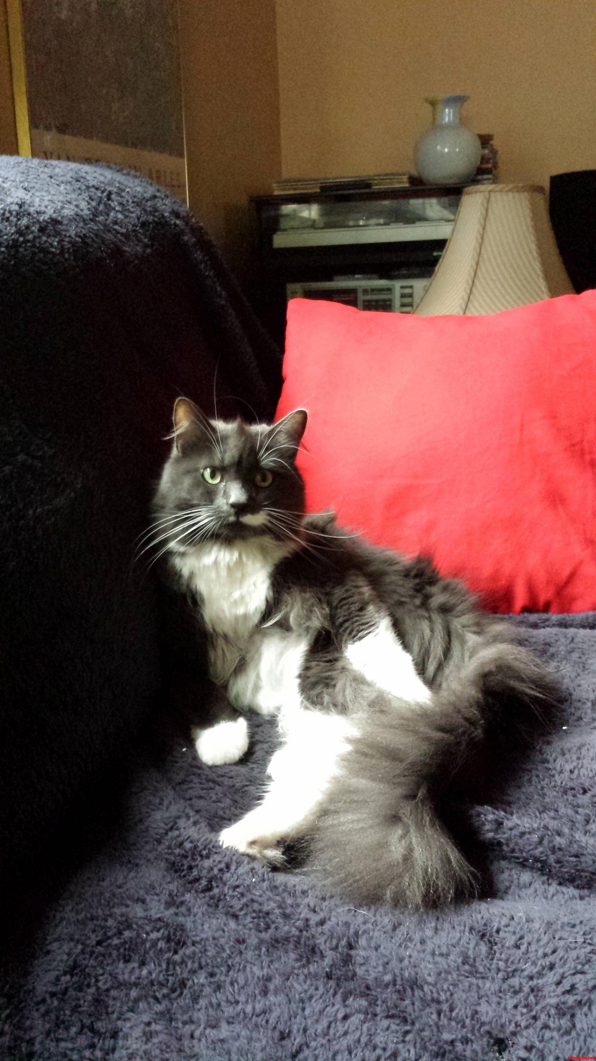 How You Doin