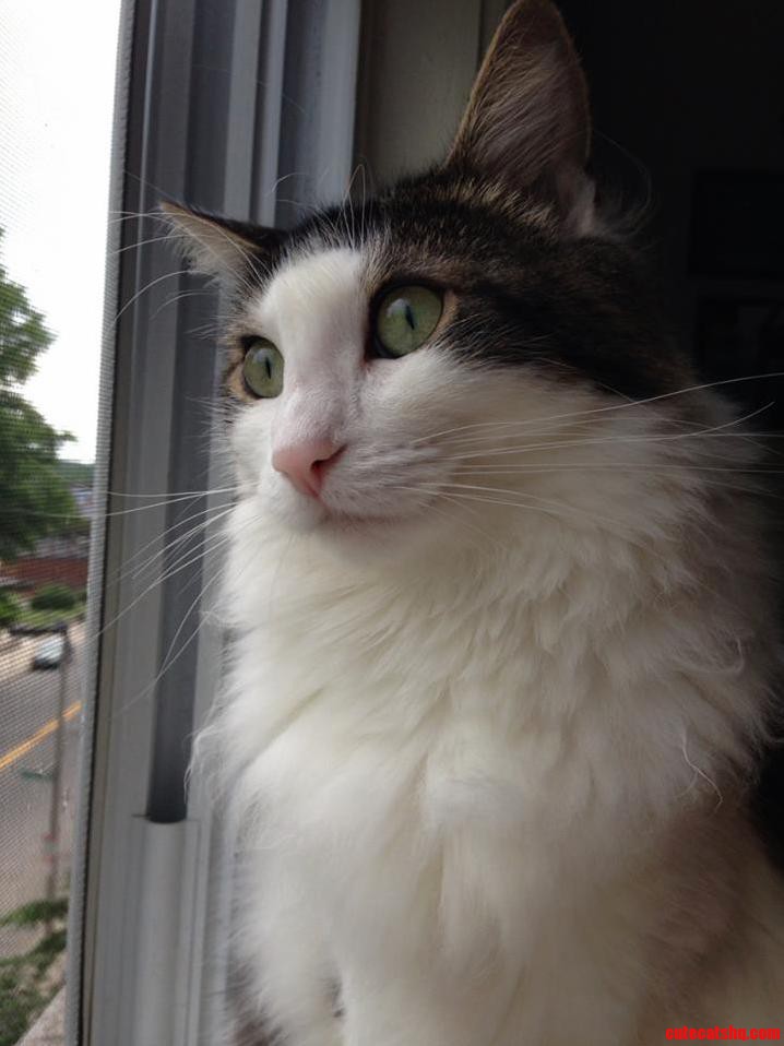 Hunter Thinking About What Life Could Be Out in the World