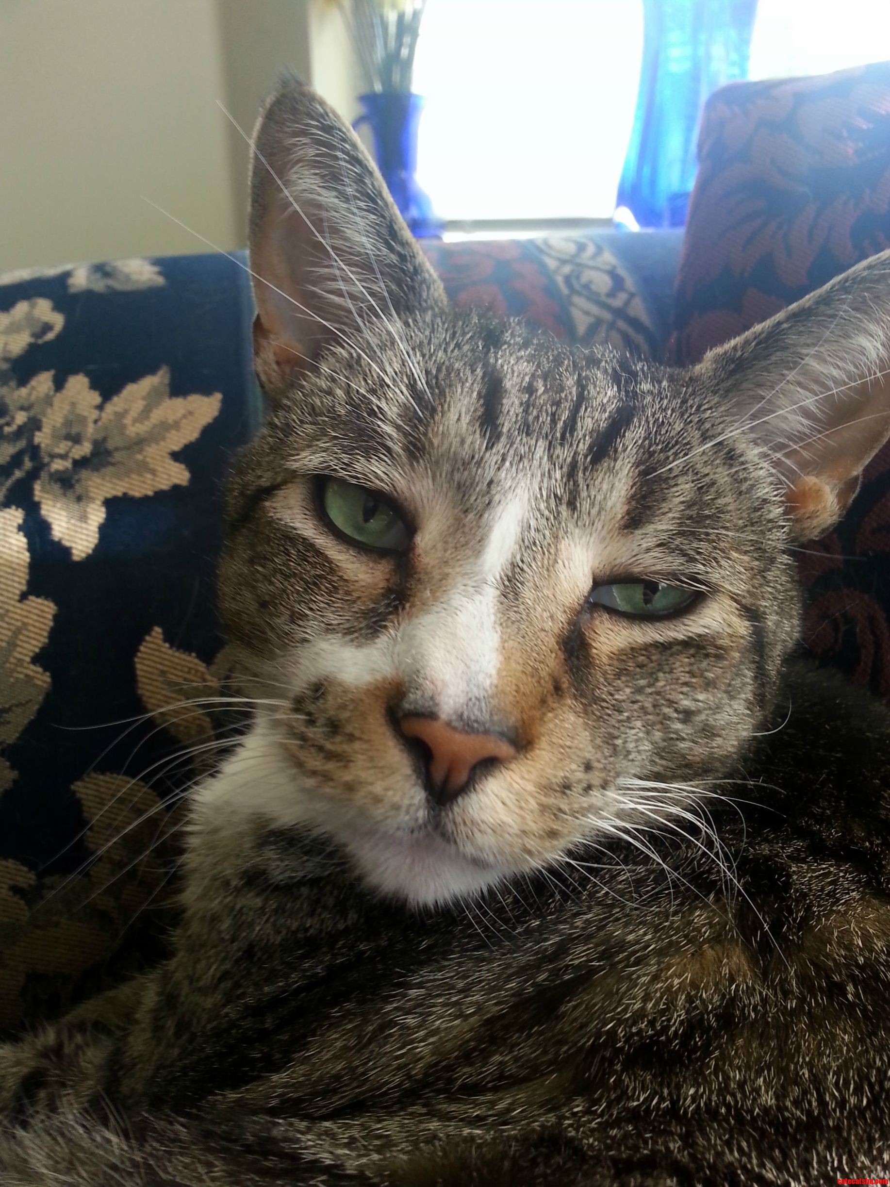 I Always Feel Like He Is Judging Me.