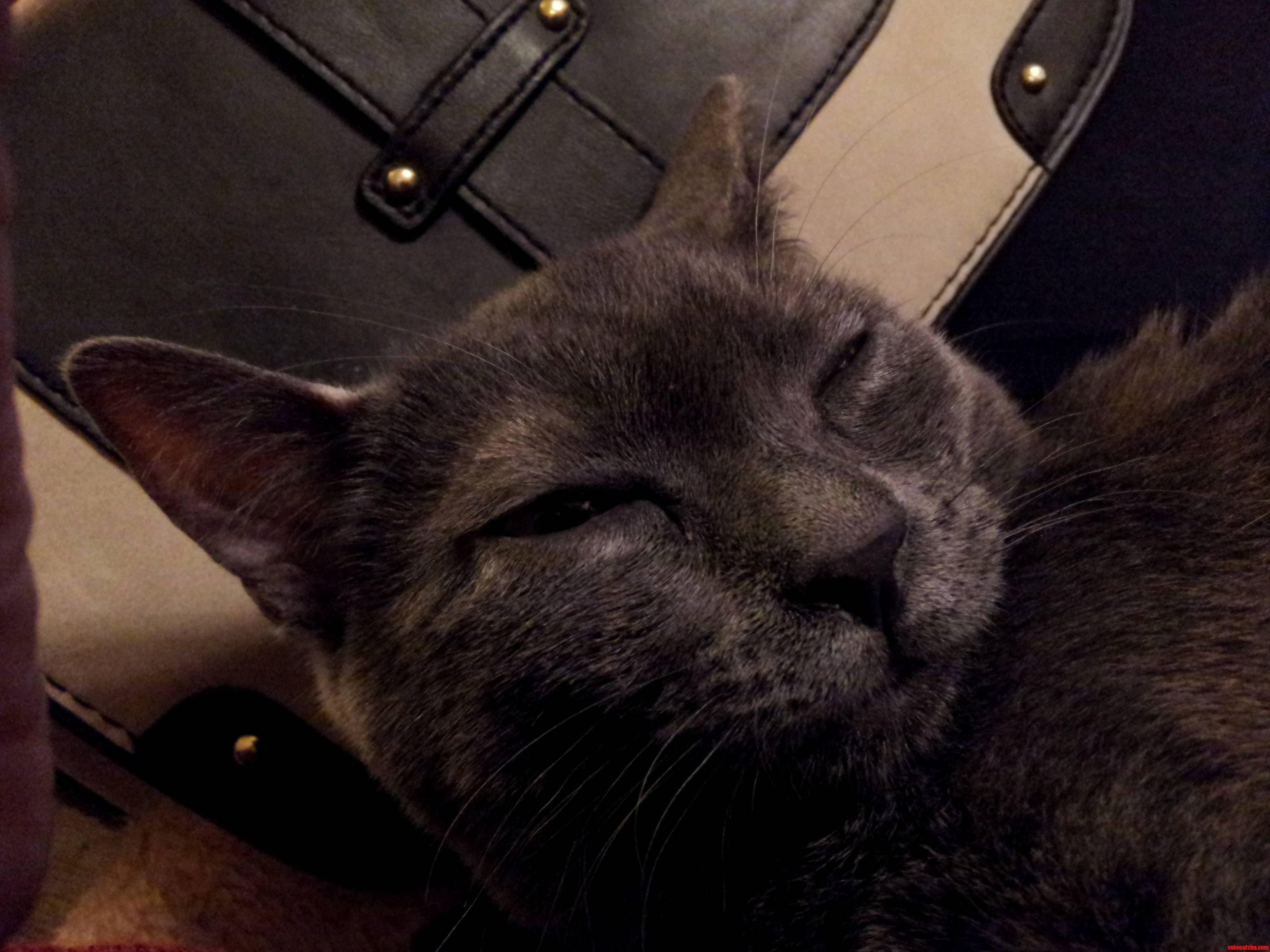 I Am Displeased
