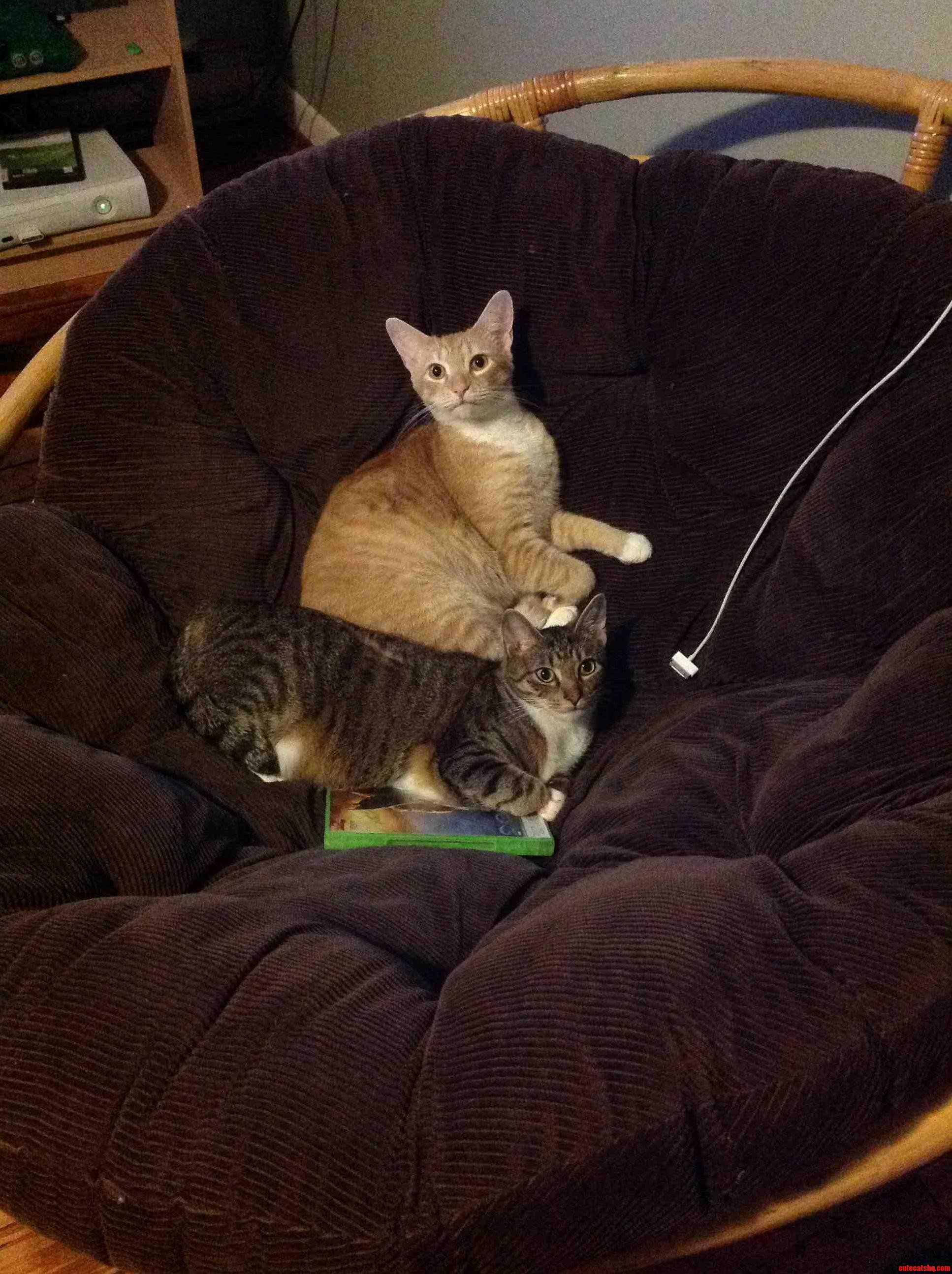 I Bought That Chair for Me Y Know...