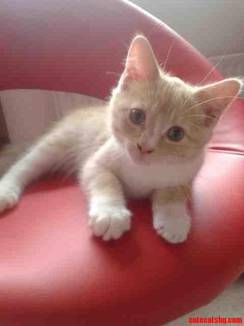 I Cant Believe How Quickly They Grow This Was Pluto Two Weeks Ago