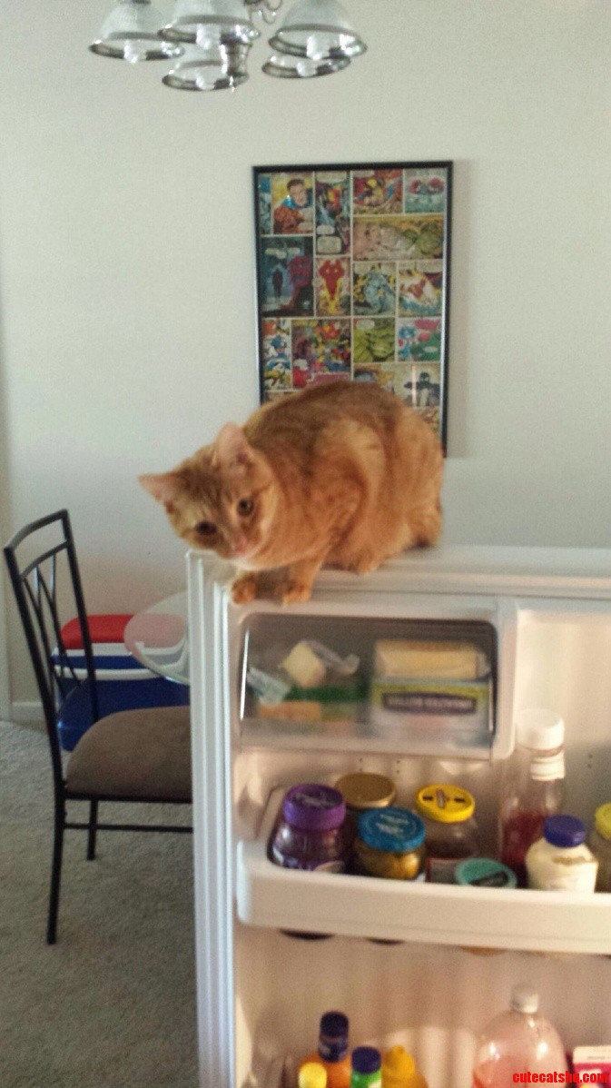 I Cant Even Get Some Sunnyd in Peace Anymore...