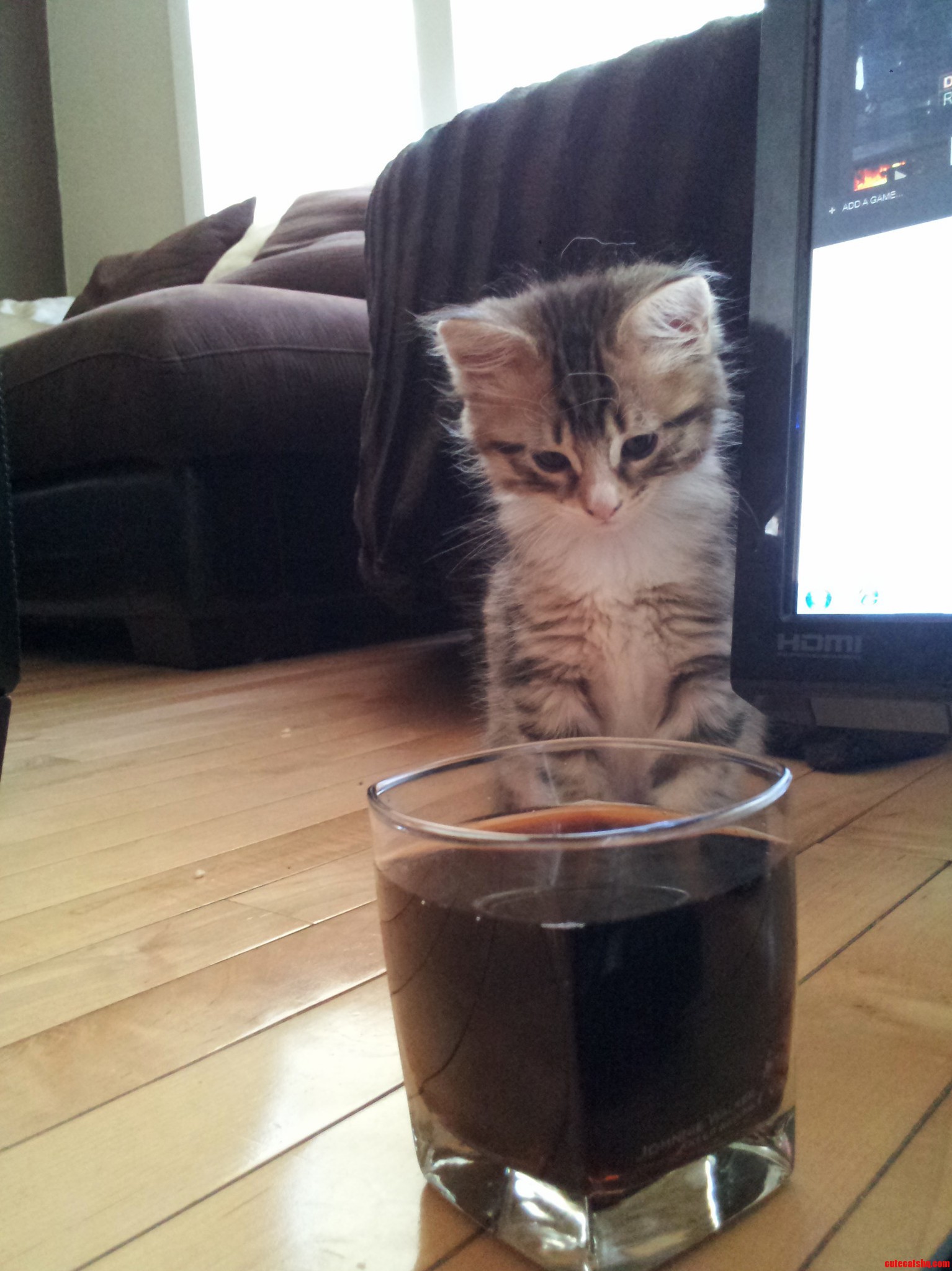 I Cant Have Any Drinks Around Him....