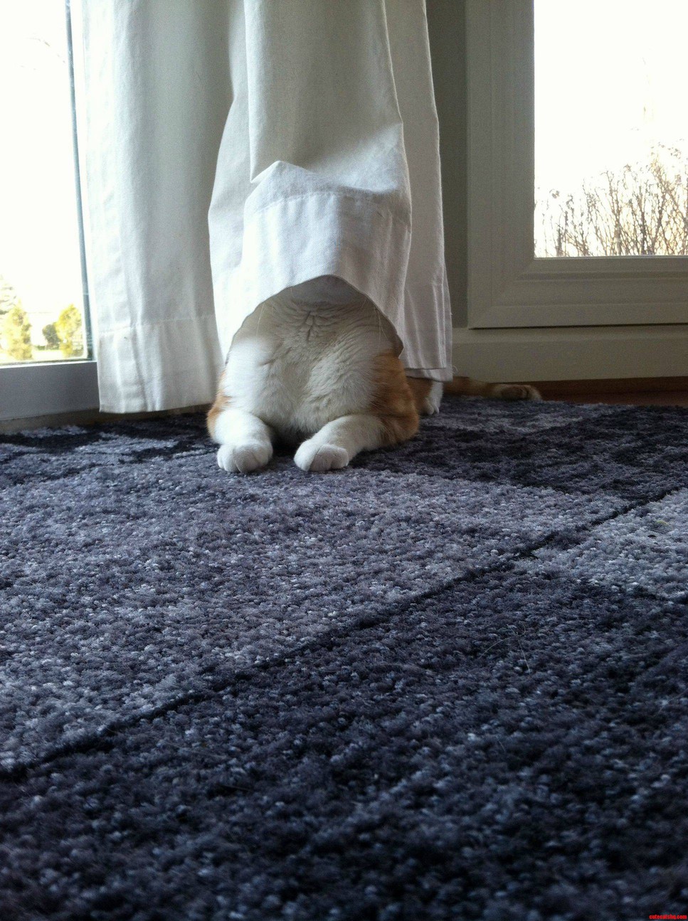 I Cant See You Therefore You Cant See Me.