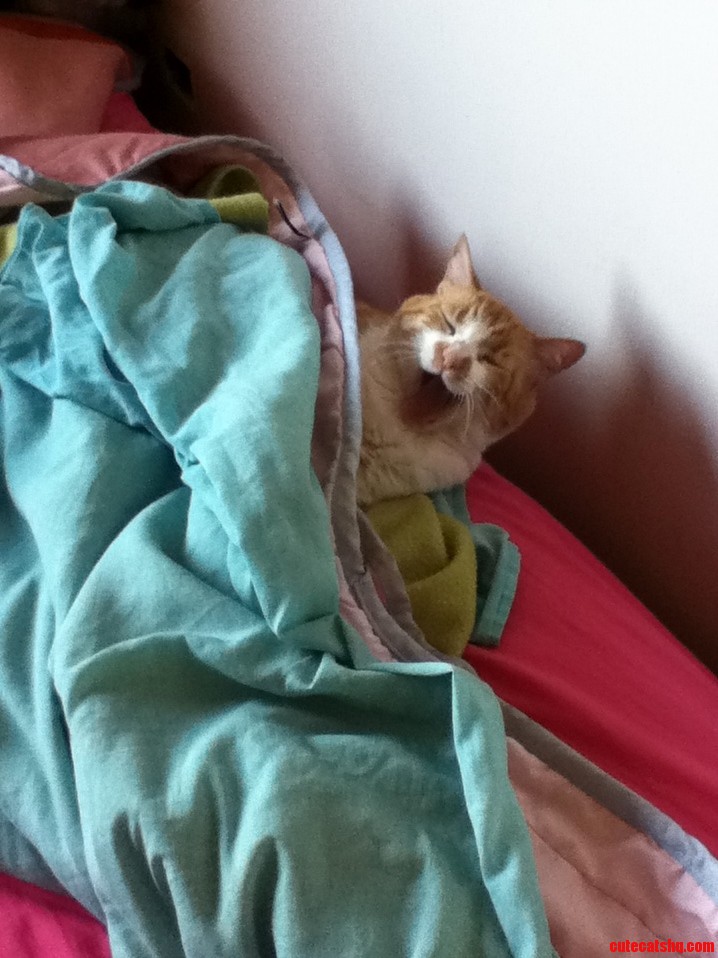 I Dont Want to Wake Up