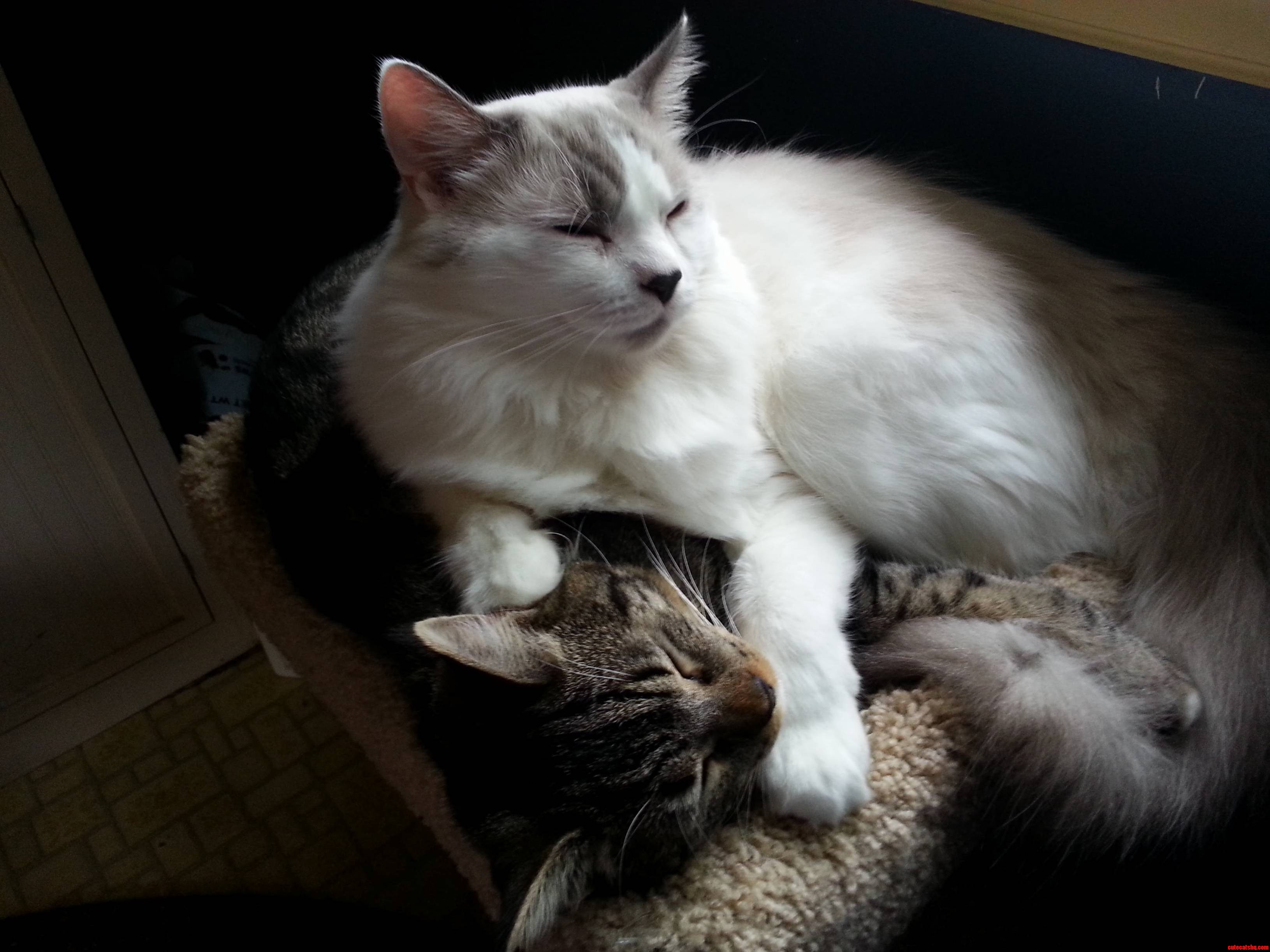 I Find Them Like This All the Time...