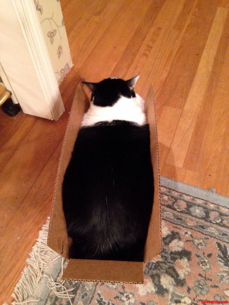 I Fit So I Sit.