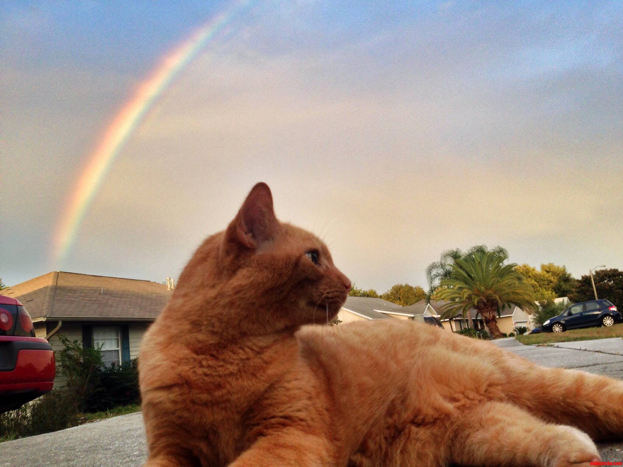 I Found Gold at the End of the Rainbow